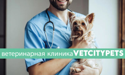 ветеринарная клиника VetCityPets