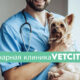 ветеринарная клиника VetCityPets