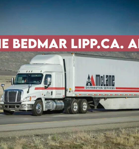 McLane Bedmar Lipp.ca. Address